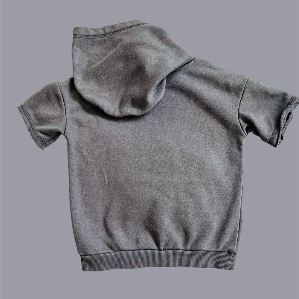 Kids 5 Graphic Long Sleeve Tees & 1 Short Sleeve Graphic Hoodie | 4T | Preowned - Picture 3 of 15